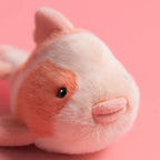 Peluche poisson carpe Fancy