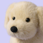 Peluche Golden Puppy Arthur mon héros