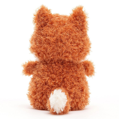 Petit renard  - Little Fox