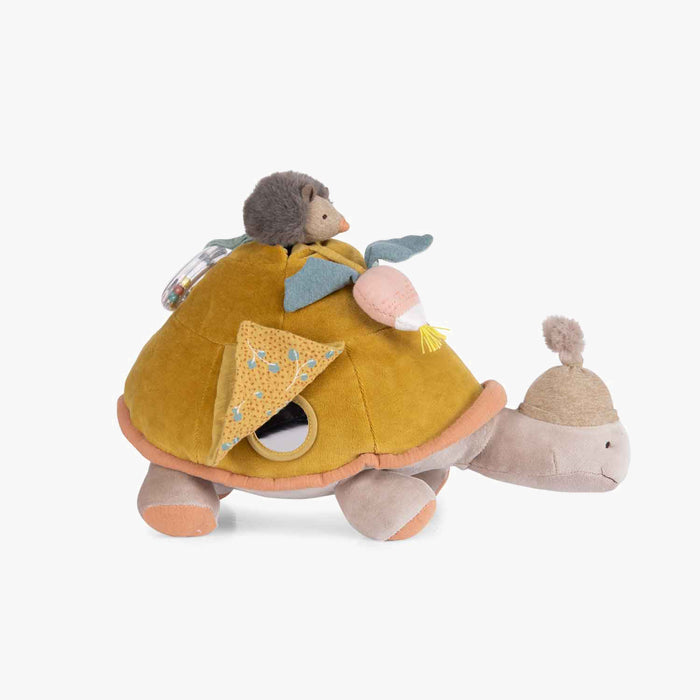 Tortue géante d'activités
