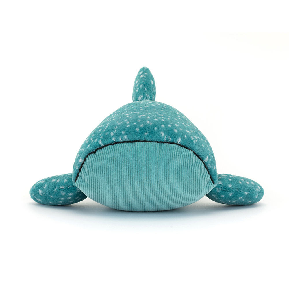 Requin Baleine Gobfrey Whale Shark
