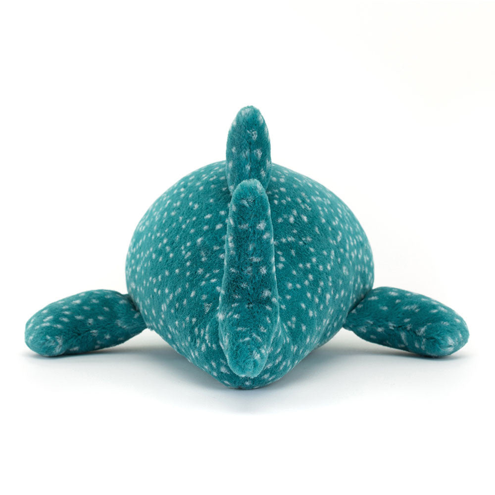 Requin Baleine Gobfrey Whale Shark
