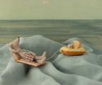 skyfish:66859297